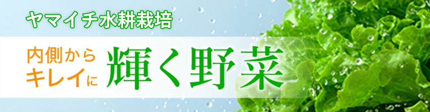 ヤマイチ水耕栽培 内側からキレイに輝く野菜